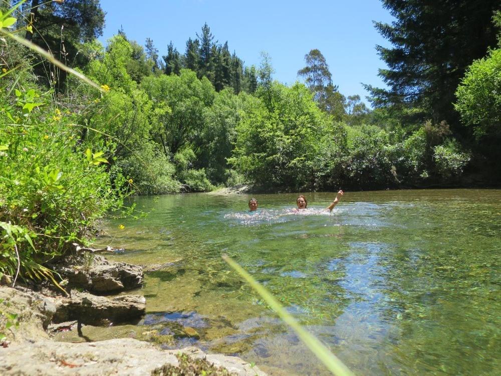 Glenwai Daire Motueka Dış mekan fotoğraf